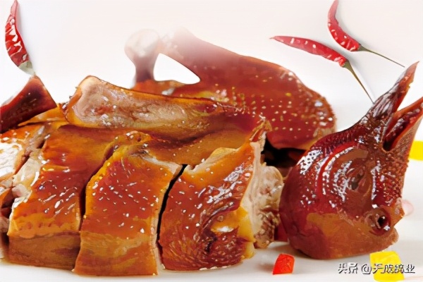 肉鸽养殖前景分析报告,云南肉鸽养殖前景