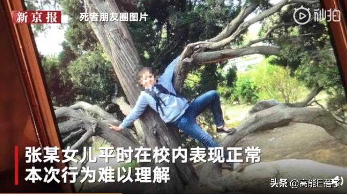 杀害至亲的少女，亲手毁掉了自己世界里的太阳