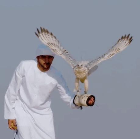 赌王何鸿燊的帅气照片,赌王何鸿燊年轻照帅