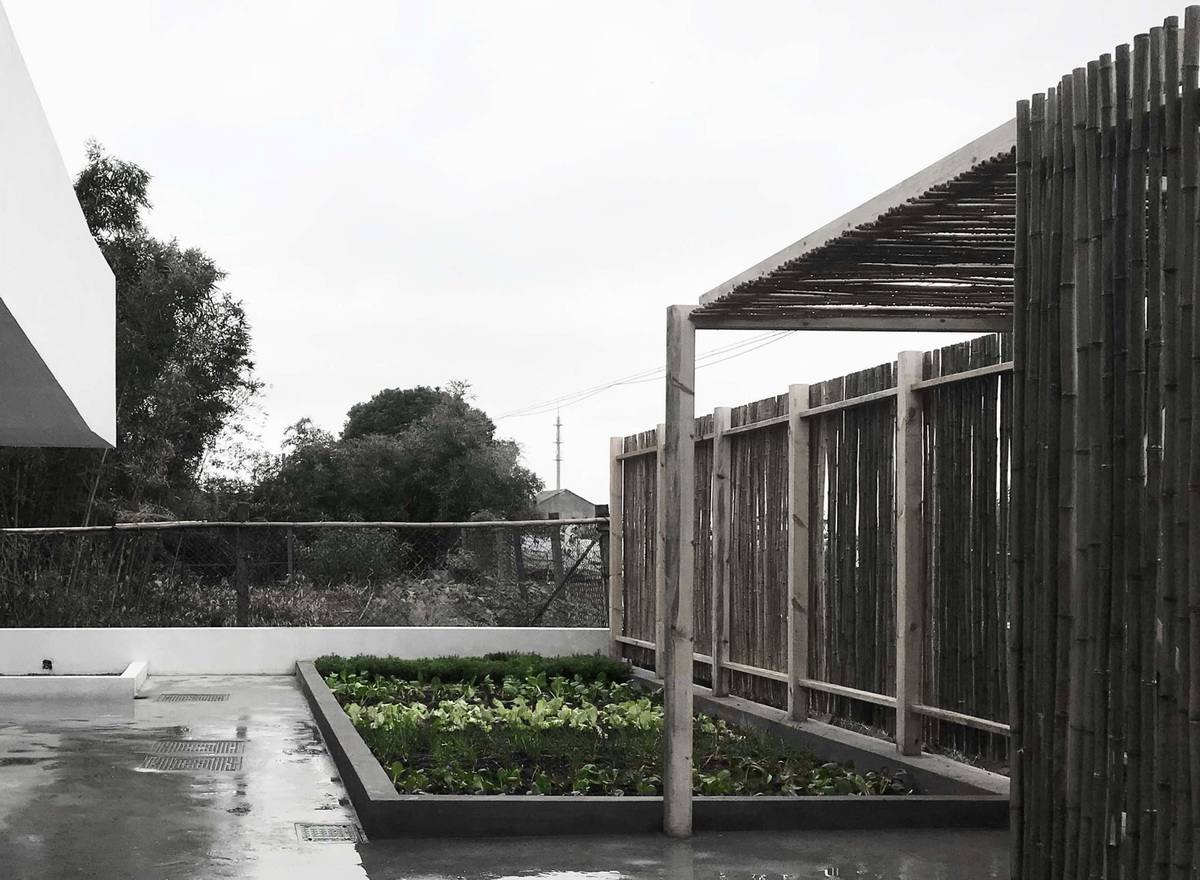 奉贤南宋村真实生活,奉贤南宋村老照片