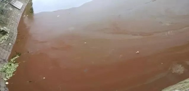红水怎么处理,水塘水发红怎样处理