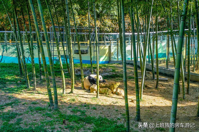 打卡溧阳天目湖御水温泉,天目湖常州溧阳御水温泉