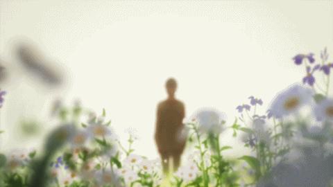 世间所有的相遇都是久别重逢下句,世间所有的相遇都是久别重逢