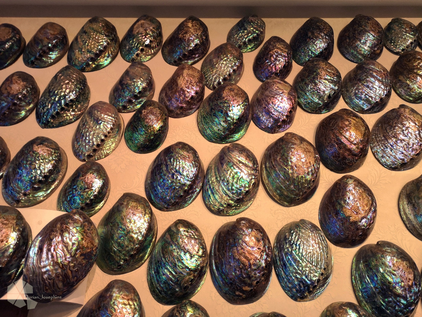 新西兰南岛一日游,新西兰南岛旅游地图