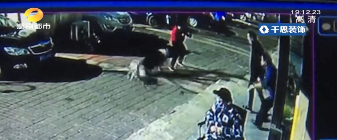 湖南大型犬追赶小孩外婆护住摔倒,白衣男子上前踹大型犬致老人摔倒
