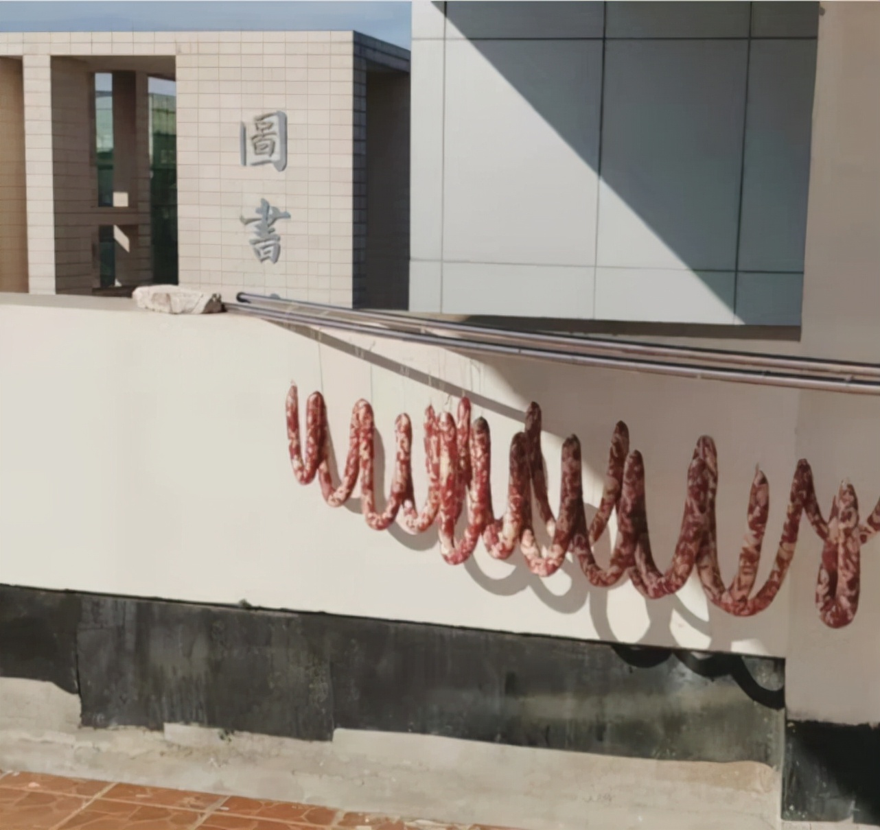 为了晒腊味，大家都拼了