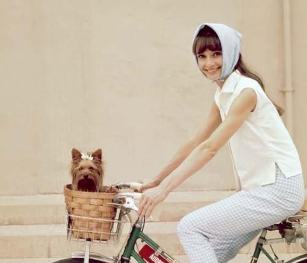 赫本是众多男人心中的女神,赫本坎坷情路