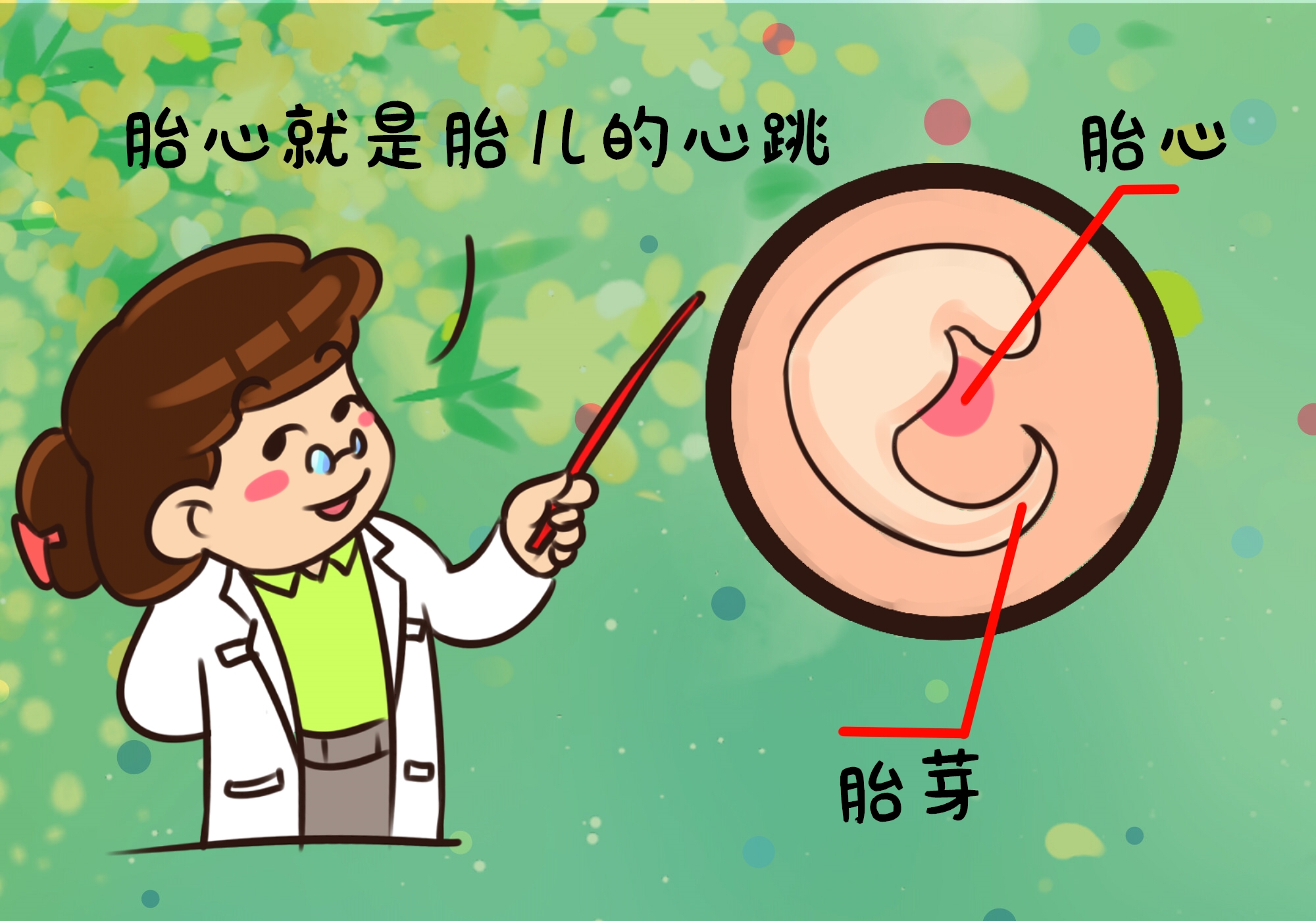 孕妈b超单怎么看,孕妈b超单子数据怎么看