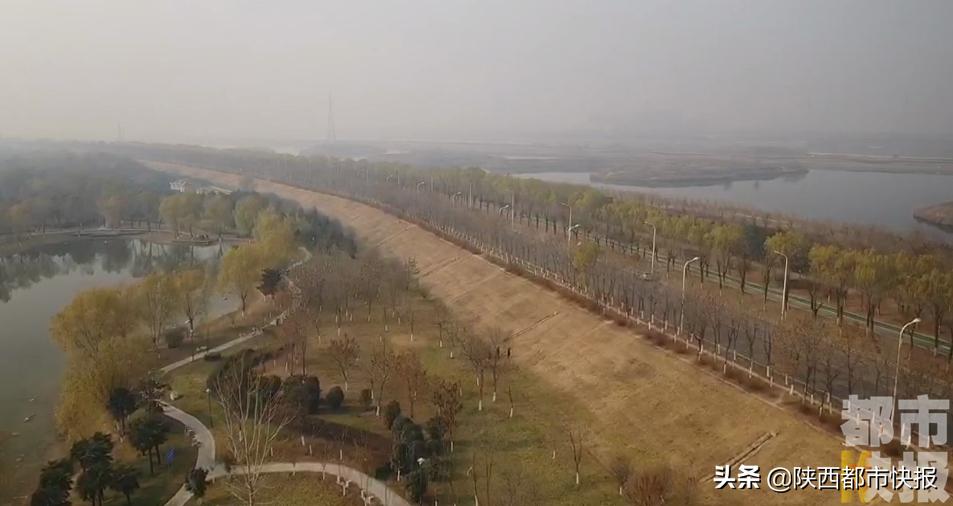 渭河生态治理2022,爱上新陕西之魅力浐灞