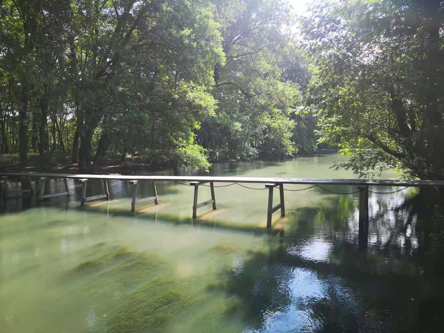 徽州之源探寻绩溪历史文化魅力,绩溪和屯溪