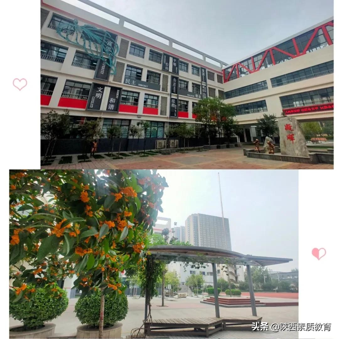 西安八府庄小学好进吗,八府庄小学