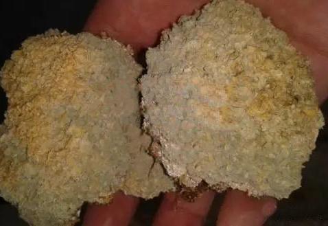 猪霉菌毒素中毒的症状,猪霉菌毒素中毒会突然死亡吗