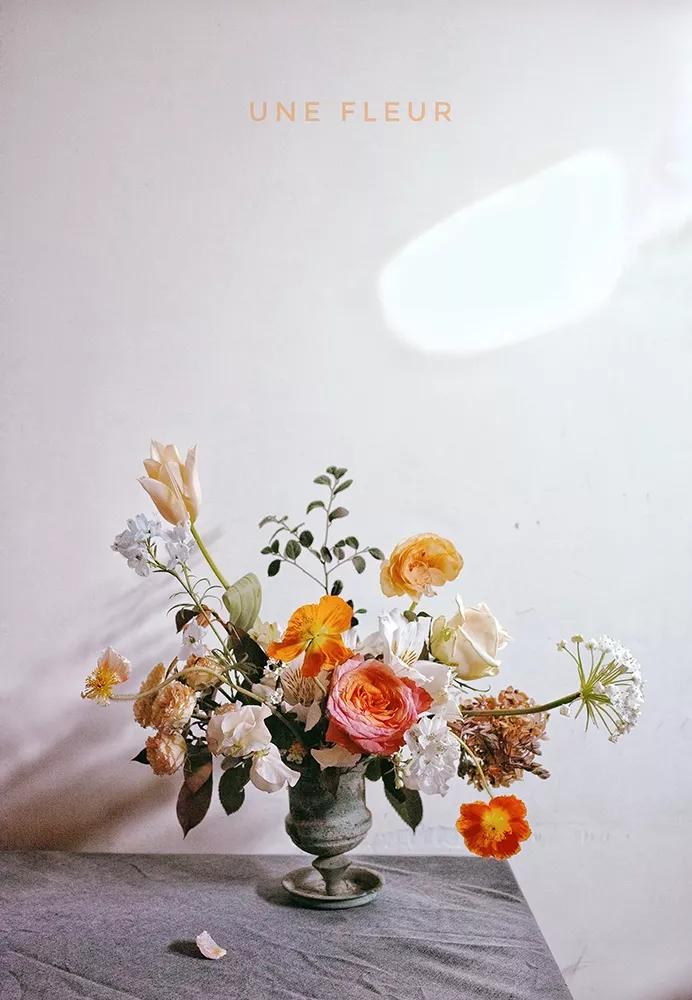 有年味儿的主题,有新年味儿的花