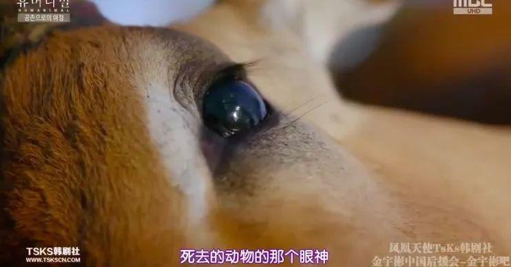 9.4分韩国催泪电视剧,韩国十部9.5评分催泪电影