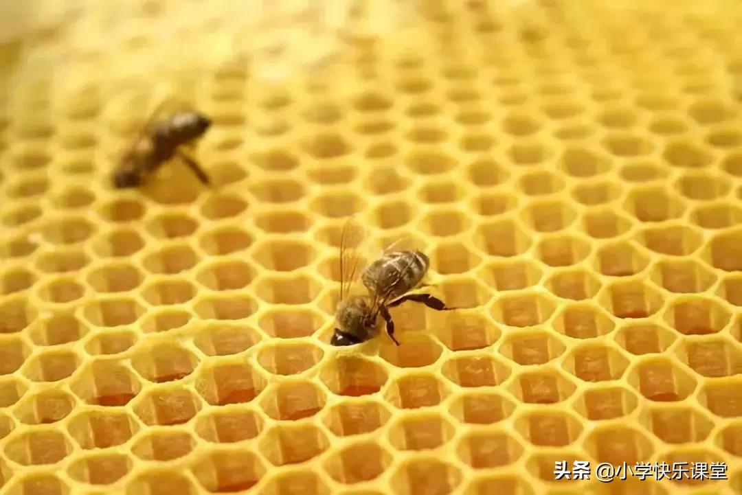 一年级数学小故事10篇最简短的,数学小故事10篇最简短的趣味数学