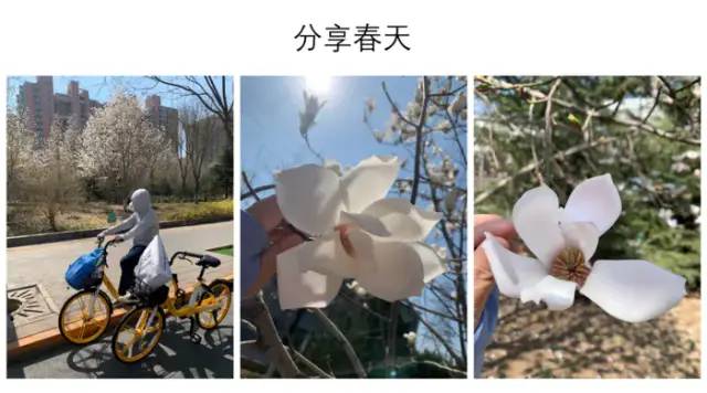 期末庆典〡诗酒趁年华:读写起来,讲玩起来,串烧起来,演唱起来