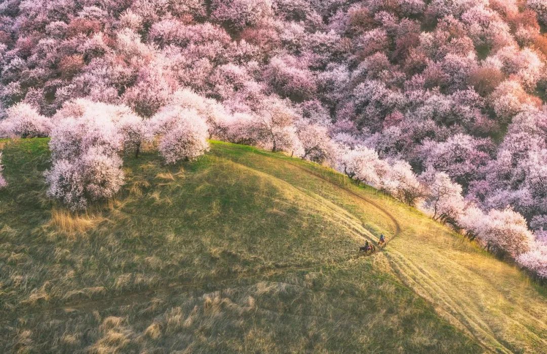 世界一生必去的51个最美的地方,全世界一生必去的100个地方