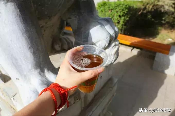 洛阳出发5天旅游攻略,10天旅游最佳路线图从洛阳出发