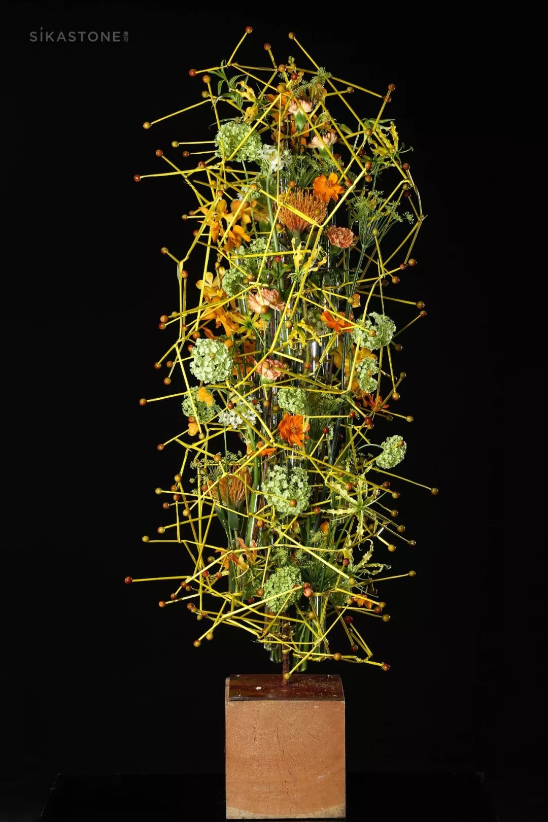 了不起的发明主题目标,了不起的发明主题环创