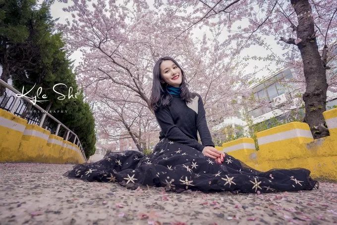 樱花季去日本价格高吗,樱花季去日本旅行