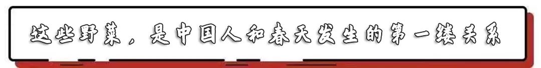 春日小野菜*戏调**指南