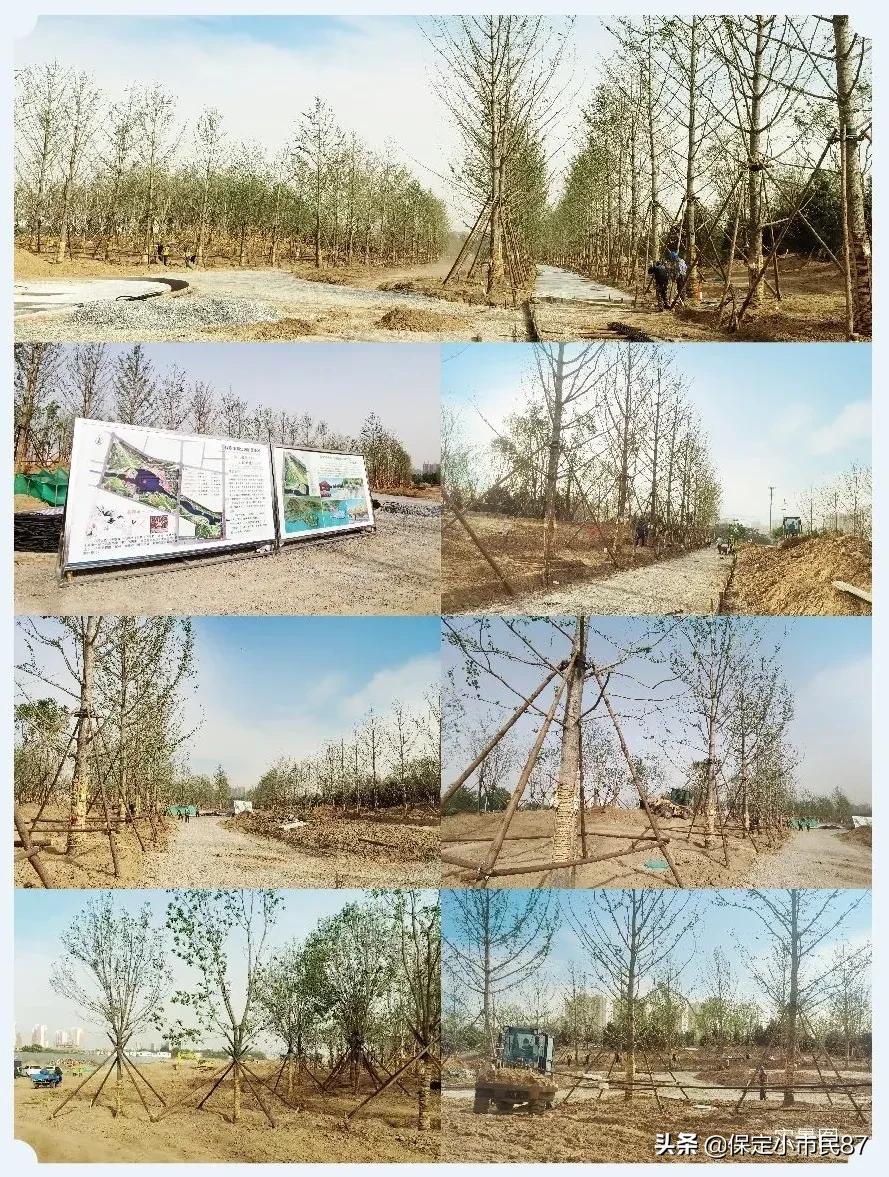 保定南城的发展,保定市南城发展