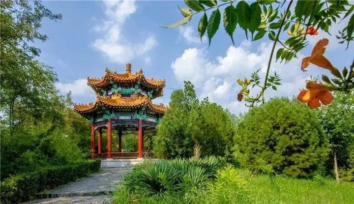 最新山东正在招商的景区,山东免门票的景区都有哪些