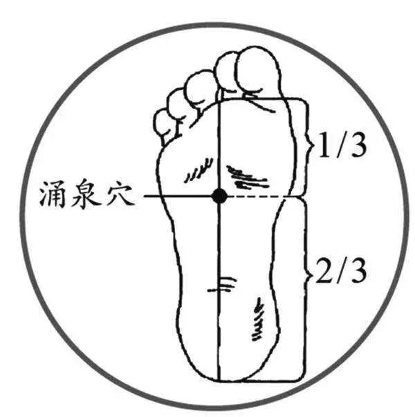 夏天天气炎热上火吃什么食物降火,夏季容易上火6款祛火食谱来帮忙
