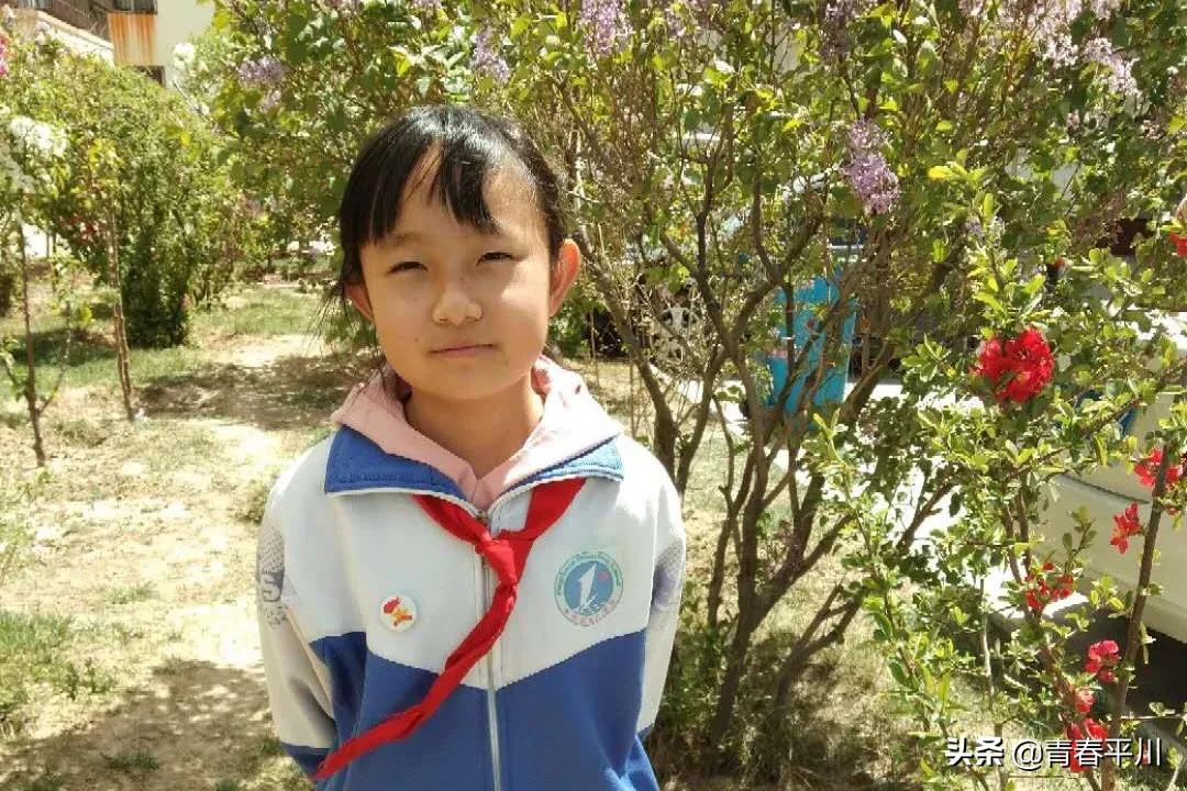 五四青年节主题征文800字10篇,五四青年节主题活动征文