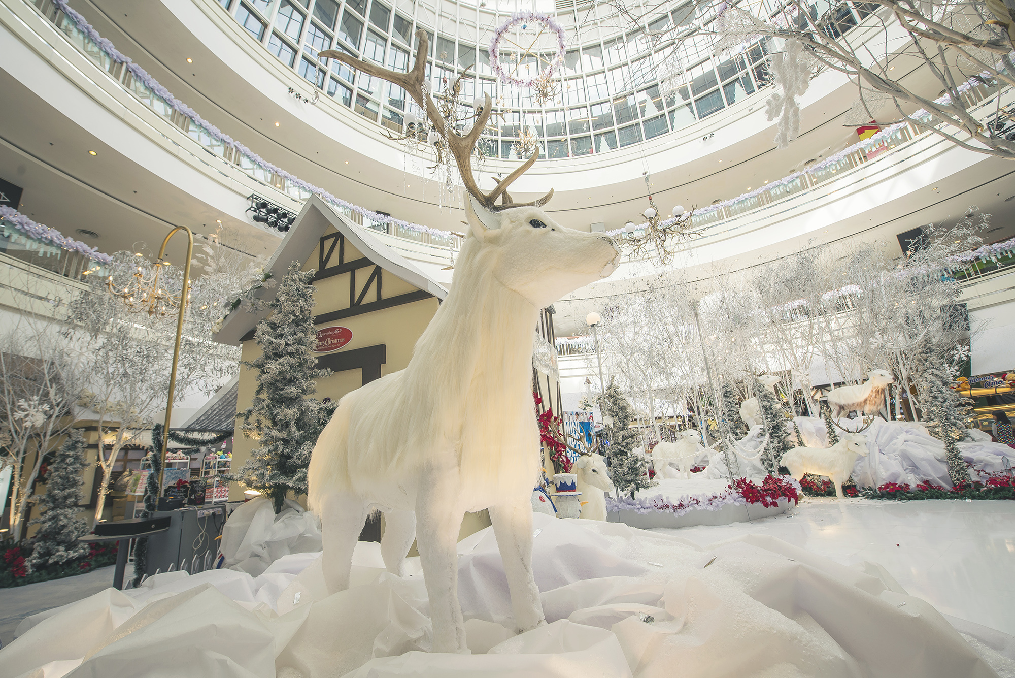 打工人买买买,槟城旅游购物必买清单