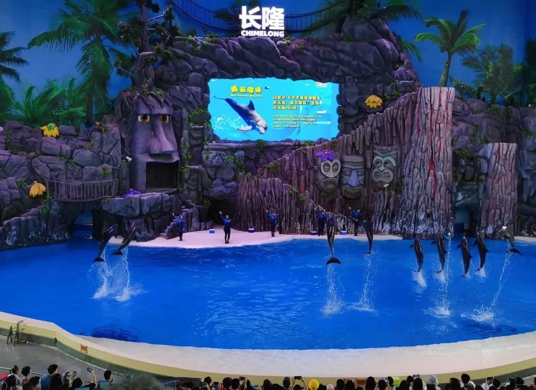 横琴奏一曲：瑜家的温馨丨初夏.珠海后花园畅游记