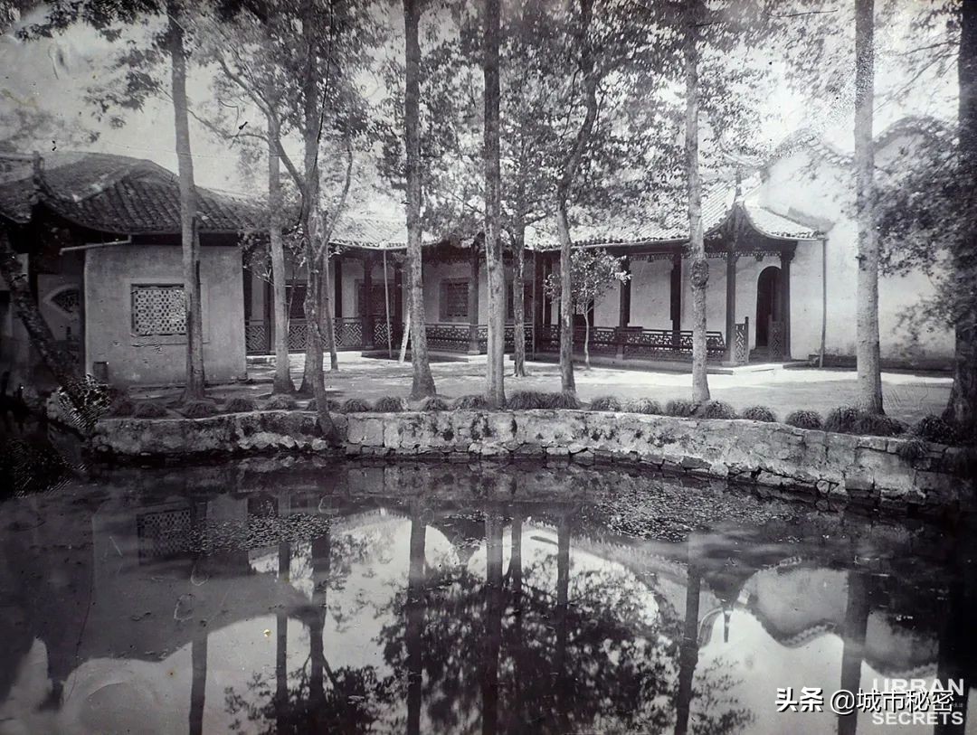 鏉窞瑗挎箹鍥涘ぇ瀹舵棌,鏉窞鍥涘ぇ鏈涙棌