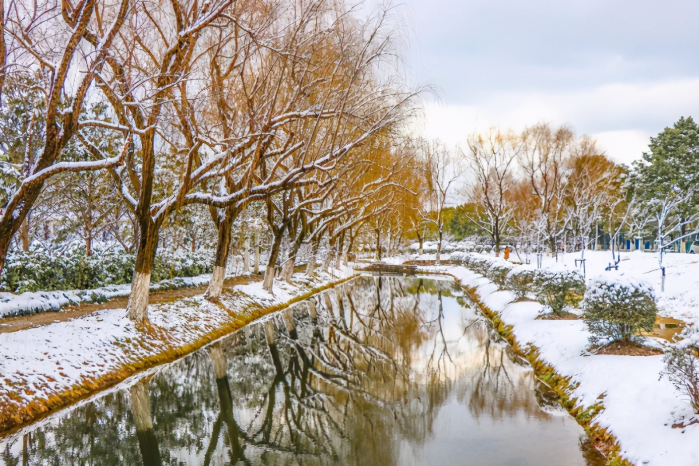 中国*产党共**创办的第一所高等学府，以城市名字命名，孙中山、毛*东泽**直接关怀！