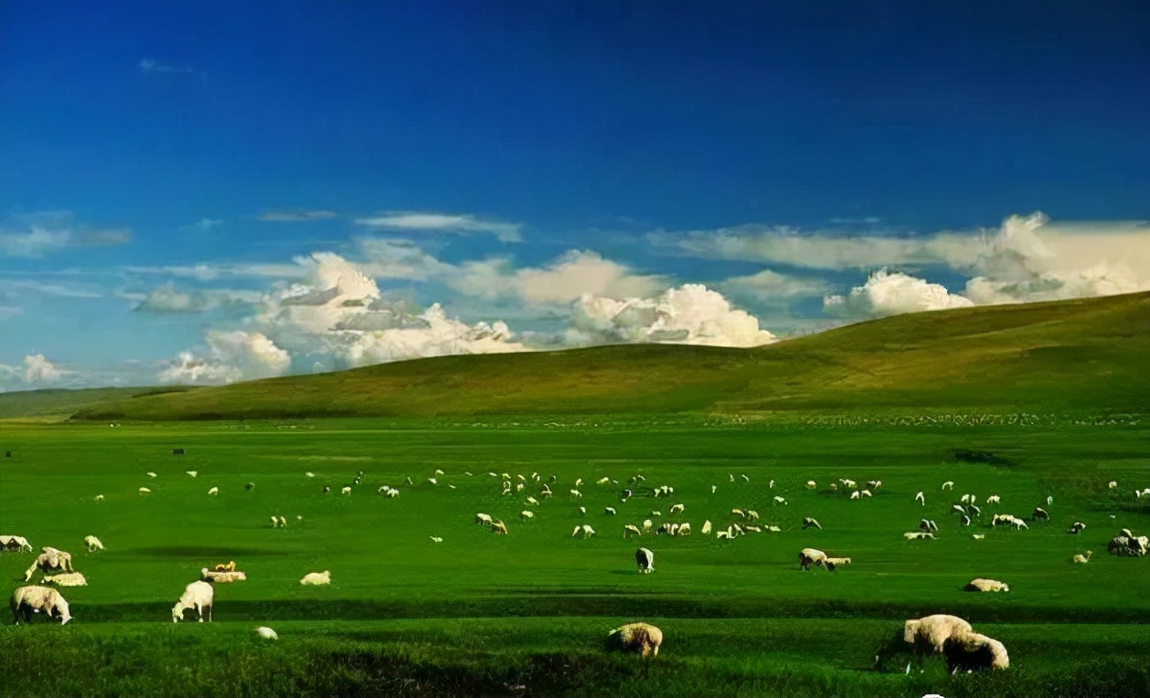 “让人无奈”的省份，明明交通便利但买东西却不包邮，究竟为啥？