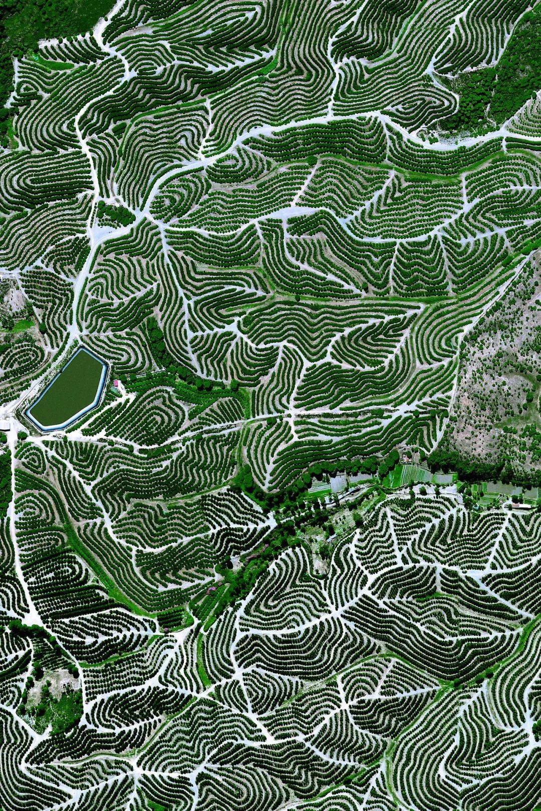 从太空看地球的一年四季真实面貌,上帝视角俯瞰我们的地球是怎样的
