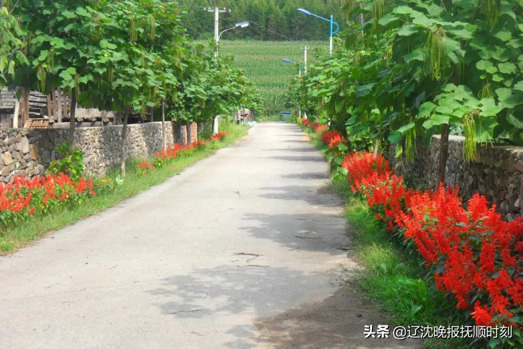抚顺新宾红庙子,抚顺新宾红庙子四道沟村