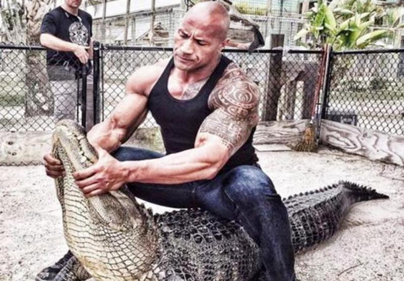 巨石强森怀抱爱女为其庆生,巨石强森有双胞胎