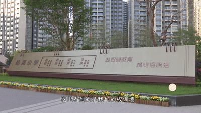 美育学校是什么样的,美育特色学校已有的建设方案