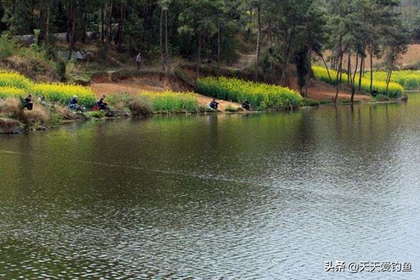 钓鱼技巧:钓鱼遇上刮风天,经验告诉你,这些风向鱼情更好