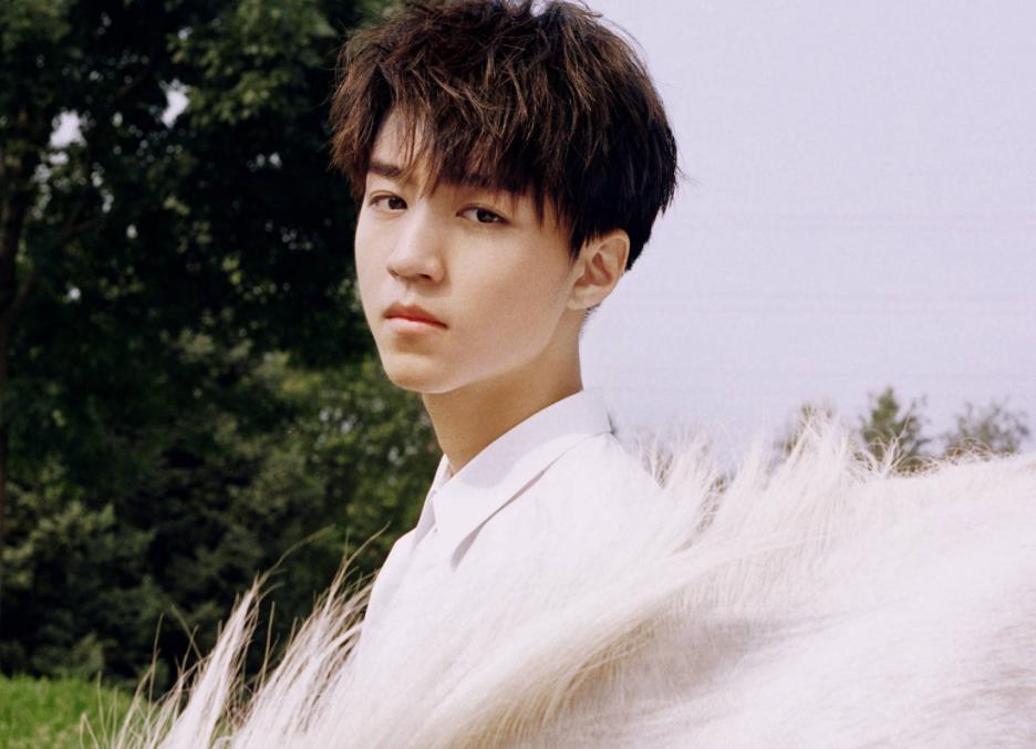 喜欢王俊凯的原因是什么,喜欢王俊凯怎么办