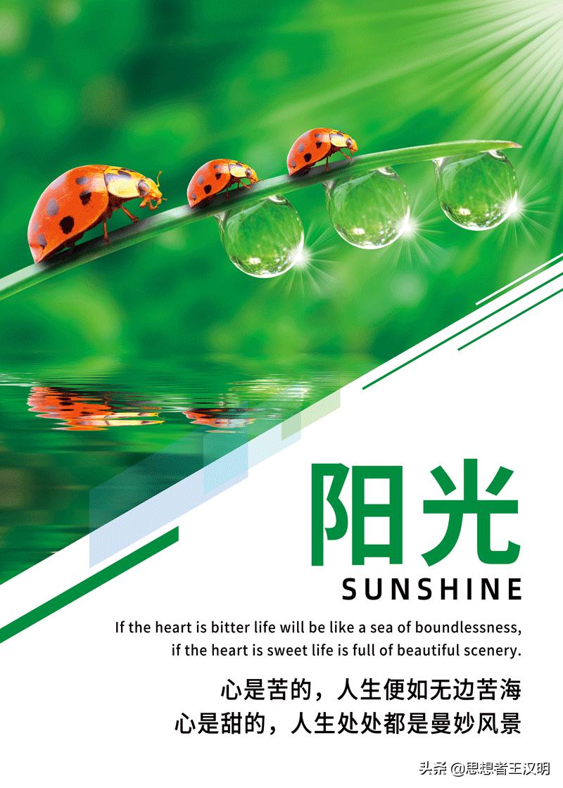 适合办公室挂的背景画,办公室励志装饰画