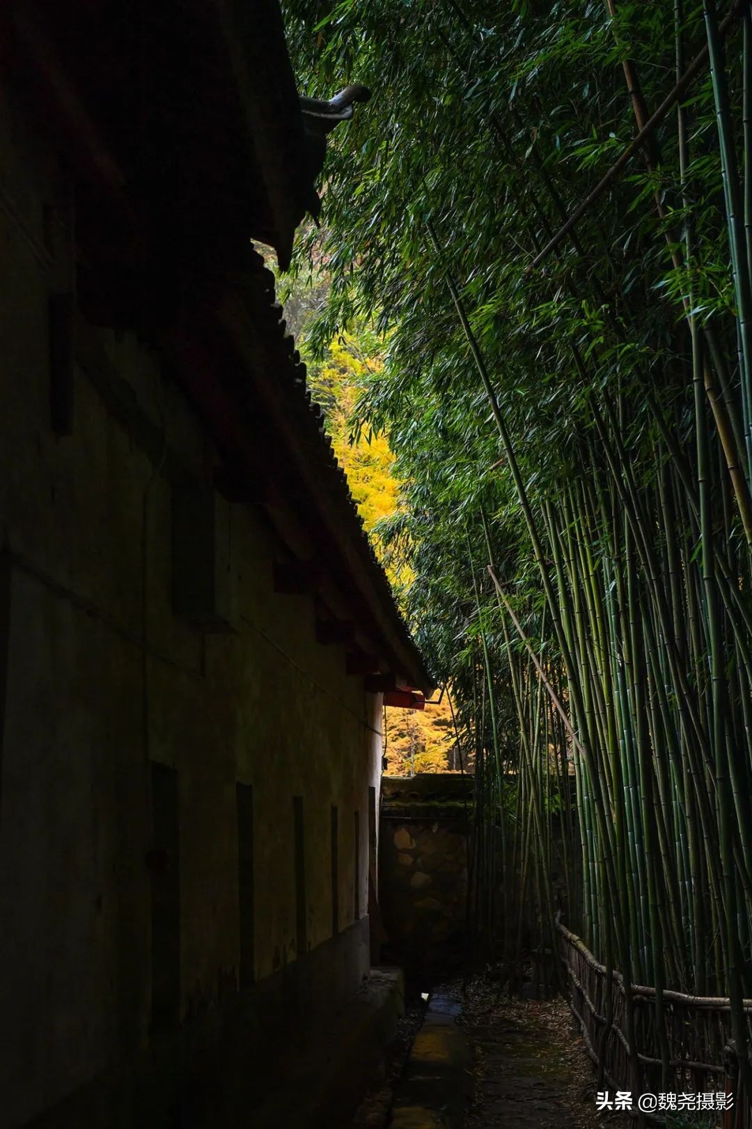 留坝秦岭之夜,留坝秦岭森林公园