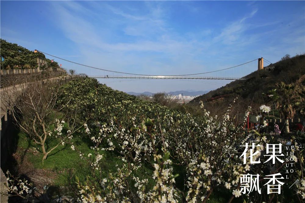 一位女村官的故事,一个农村姑娘的创业史