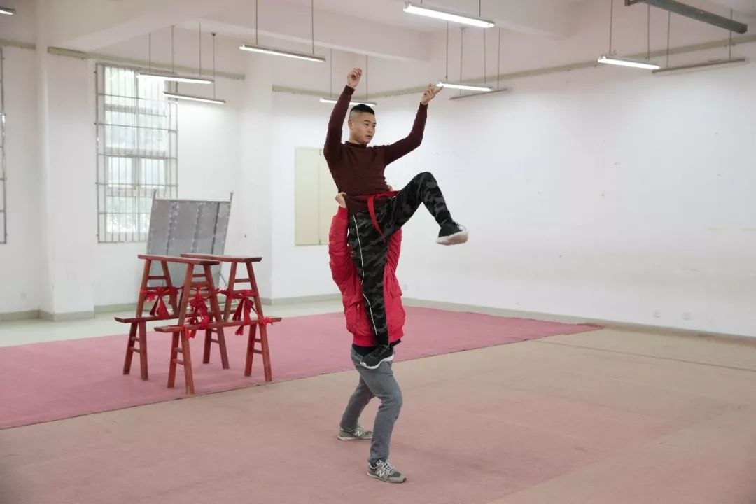 这群中江狮子为啥逗人爱？能跳能翻还会抓痒眨眼、难怪火了7年