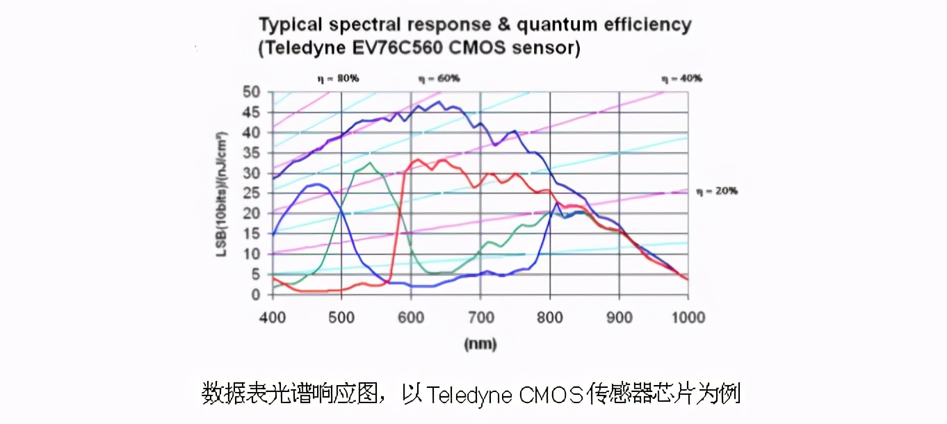 怎么分辨ccd和数码相机,如何区别ccd真假