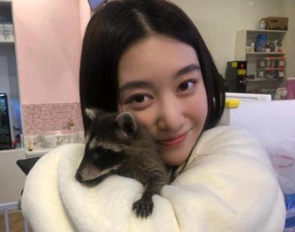 筷子兄弟为啥单飞了,筷子兄弟成名之路