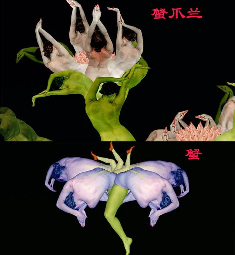 太美:她用裸体模特为宁乡人打造出一个斑斓的春天