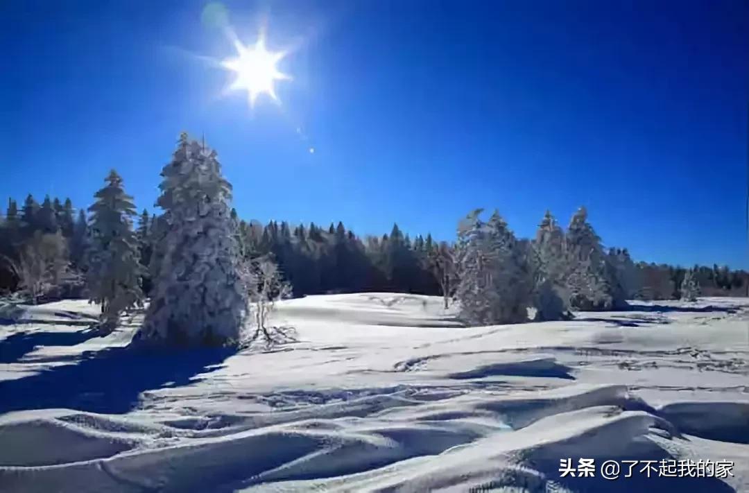 各地特产礼品一览表,天津特产必买清单一览表