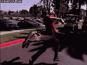 当你遇到大鹅袭击应该怎么办,当你遇见大白鹅你会怎么样