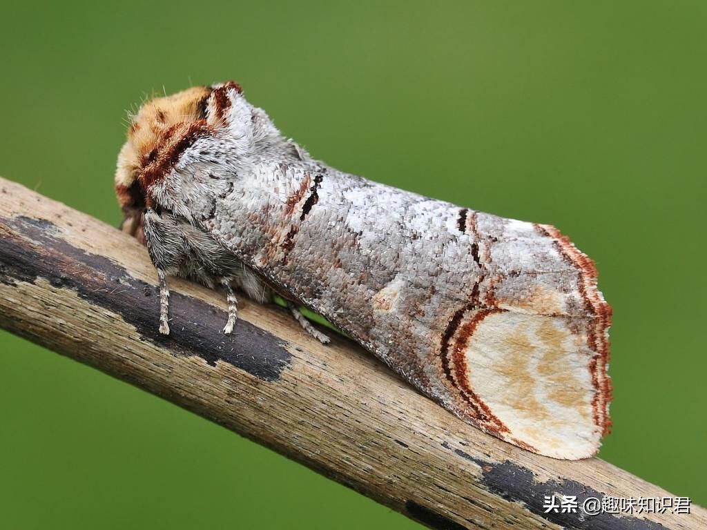关于女性的趣味冷知识,受不了的趣味冷知识大全